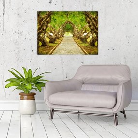 Sklenený obraz - Živý tunel z plumérií (70x50 cm)