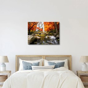 Obraz - Vodopády v oranžovom lese (70x50 cm)