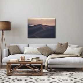 Obraz - Piesočné duny (70x50 cm)