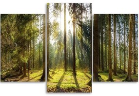 Gario Obraz na plátne Slnečný deň v lese - 3 dielny Rozmery: 90 x 60 cm