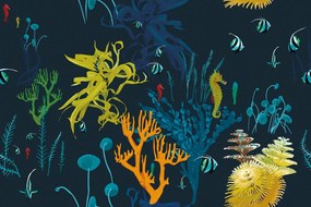 Samolepiaca tapeta krásy podmorského sveta