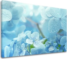 Obraz na stenu MODRÉ KVETY_152-11