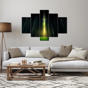 Obraz temného lesa (150x105 cm)