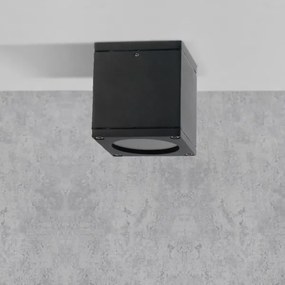 Vonkajšie nástenné svietidlo MORRIS 1xGU10/35W/230V IP54