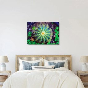 Sklenený obraz kaktusu (70x50 cm)