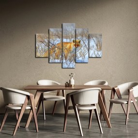 Obraz - Lišiak (150x105 cm)