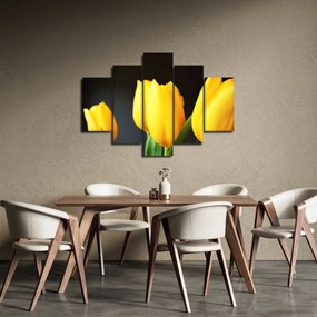 Obraz tulipánov (150x105 cm)