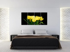 Tulipány - obraz