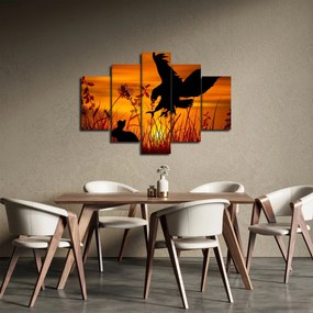Obraz siluety dravca (150x105 cm)