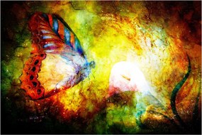 Obraz - Kozmický motýľ (90x60 cm)