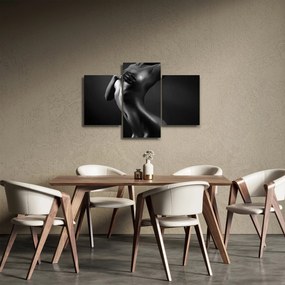 Obraz - Akt ženy (90x60 cm)