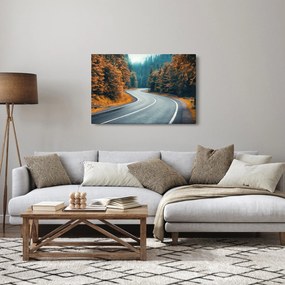 Obraz - Kľukatá cesta (90x60 cm)