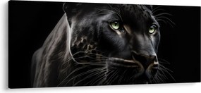 Obraz - Čierny panter (120x50 cm)