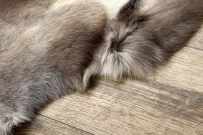 Koberec RENIFER POK019 hnedý