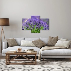 Obraz - levanduľa (90x60 cm)