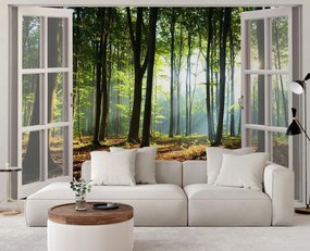 Gario Fototapeta Okno - ráno v lese Materiál: Vliesová, Rozmery: 210 x 150 cm