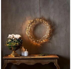 Eglo 411421 - LED Vianočná dekorácia FIZZY 50xLED/0,06W/5/230V