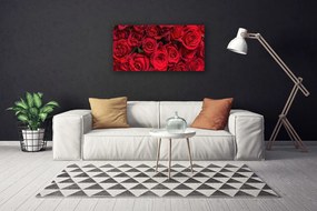 Obraz Canvas Červené ruže kvety príroda 120x60 cm