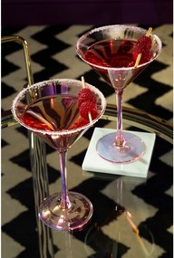 Poháre na koktaily v súprave 2 ks 250 ml Frosted – Premier Housewares