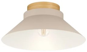 Eglo 900736 - Stropné svietidlo MOHARRAS 1xE27/40W/230V