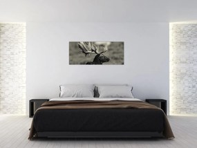 Obraz - Jeleň (120x50 cm)