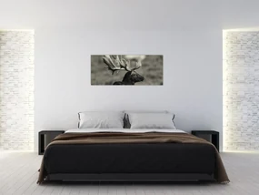 Obraz - Jeleň (120x50 cm)