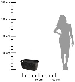 Kôš na bielizeň Black 35 l