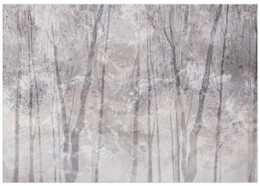 Artgeist Fototapeta - Eternal Forest Veľkosť: 150x105, Verzia: Standard