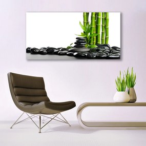 Obraz na akrylátovom skle Bambus kamene umenie 120x60 cm