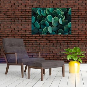 Obraz - Opuncie (90x60 cm)