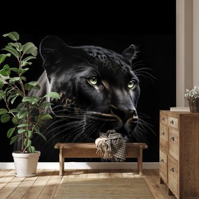 Fototapeta - Čierny panter (147x102 cm)