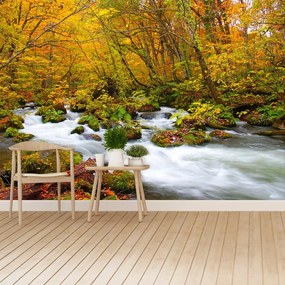 Fototapeta Vliesová Rieka v japonsku 208x146 cm