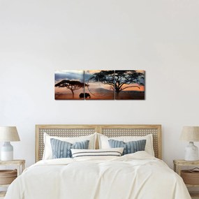 Obraz - Národný park Serengeti, Tanzánia, Afrika (s hodinami) (90x30 cm)