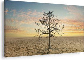 Obraz - Strom na púšti (90x60 cm)