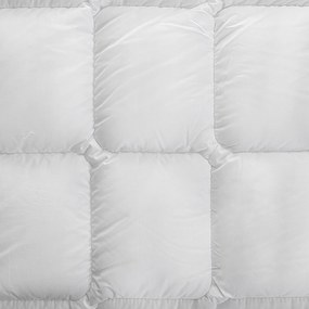 PAPLÓN GOLD 140X200 CM BIELA