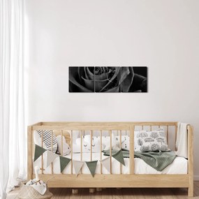 Obraz - Červená ruža (s hodinami) (90x30 cm)