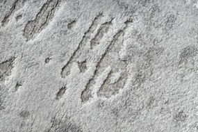 Koberec AKRYL VALS 2359  Abstrakcia slonia kosť / sivý