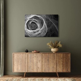 Obraz - Abstraktné ruže čiernobiela (90x60 cm)
