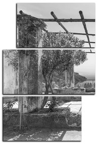 Obraz na plátne - Staroveká záhrada na morskom pobreží - obdĺžnik 7249QD (90x60 cm)