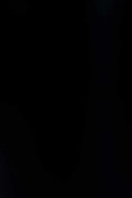 Interiérový kvetináč ELEMENTO, materiál MDF, šírka 88 cm, čierny