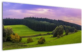 Obraz lúky (120x50 cm)