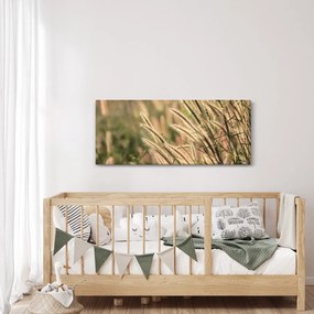 Obraz - Obilie (120x50 cm)