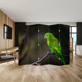 Paraván - Papagáj na vetve (210x170 cm)