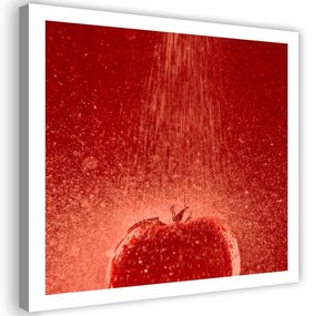 Obraz na plátně Červené rajče ve vodě - 30x30 cm