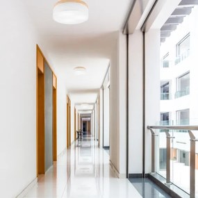 Brilagi - LED Stropné svietidlo BELLADONNA 3xE27/15W/230V pr. 50 cm biela/borovica