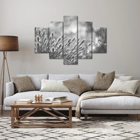 Obraz - Béžová soft grass N⁰1 (150x105 cm)