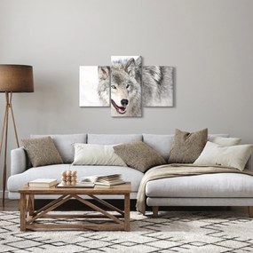 Obraz - Vlk v prírode (90x60 cm)