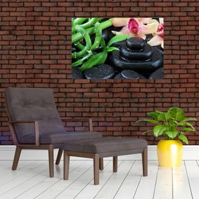 Obraz - Kamene a orchidey (90x60 cm)