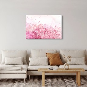 Obraz - Rozkvet (90x60 cm)
