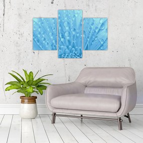 Obraz - Makro záber kvetu (90x60 cm)